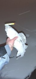 IMG_20220206_193234.jpg