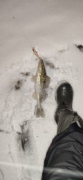IMG_20220206_193206.jpg