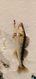 IMG_20220207_192739.jpg