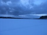 IMG_2342.JPG