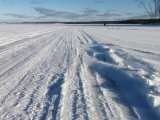IMG_20220212_155740.jpg