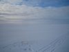 IMG_3798.jpg