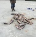 IMG_20220301_103606.jpg