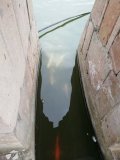 IMG_20220305_130344.jpg
