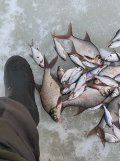 IMG_20220307_164015.jpg