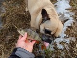 IMG_1015.JPG