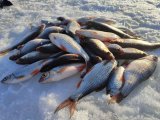 IMG_20220320_172913.jpg
