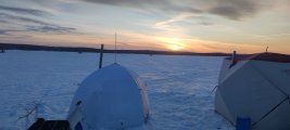 IMG_20220324_191426.jpg