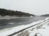 IMG_20220328_105102.jpg