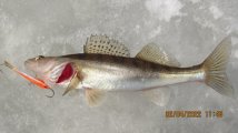 IMG_1978.JPG