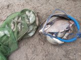 IMG_20220407_181908.jpg