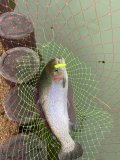IMG_0535.JPG