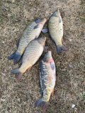 IMG_0567.JPG