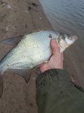 20220409_070459.jpg