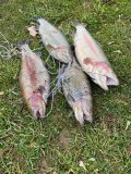 IMG_0591.JPG