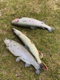 IMG_0610.jpg