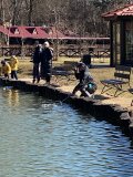 IMG_0655.jpg