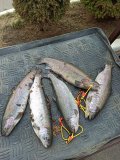 IMG_20220415_141824.jpg