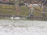 IMG_4120.JPG