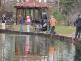 IMG_4125.JPG