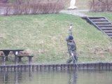 IMG_4135.JPG