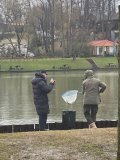 IMG_0727.JPG