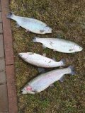 IMG_20220416_104628.jpg