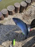 IMG_0804.JPG