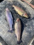 IMG_0816.JPG