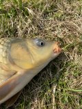 IMG_0820.JPG