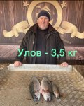 92563EF1-AB4B-41DB-A53A-51A2ADB0D6C4.jpeg
