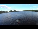 Новый фильм.Movie карп 2015 (16).Movie_Копия экрана.jpg