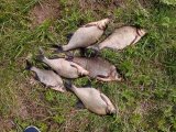 IMG-20220514-WA0007.jpg