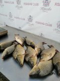 IMG-20220515-WA0027.jpg