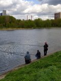 IMG_20220514_105518.jpg