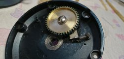 IMG_20220517_180448.jpg