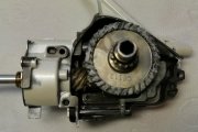 IMG_20220517_130052.jpg