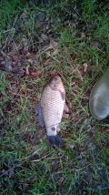 IMG_20220528_200303.jpg