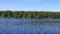 20210613_092011 - копия.jpg