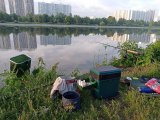 IMG_20220605_051117.jpg