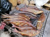IMG_20220608_101832.jpg
