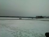IMG-20170305-WA0000.jpeg.jpg