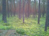 IMG-20170913-WA0002.jpeg.jpg