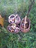 IMG-20180920-WA0004.jpeg.jpg