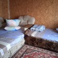 IMG-20220302-WA0011.jpg