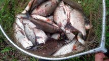 IMG_20220617_123037.jpg