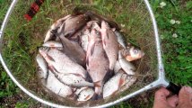 IMG_20220617_123033.jpg