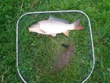IMG-20220621-WA0000.jpg