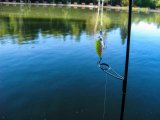IMG_0476.JPG