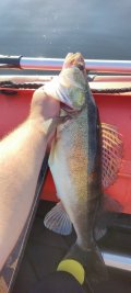 IMG_20220626_055230.jpg